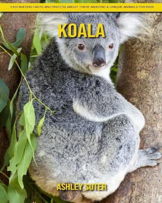 Book cover for Koala