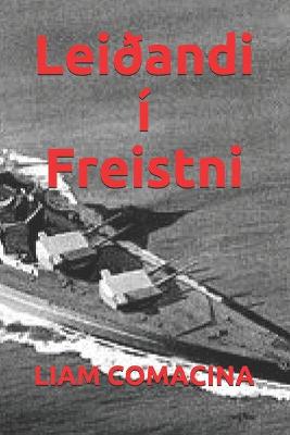 Book cover for Leidandi i Freistni