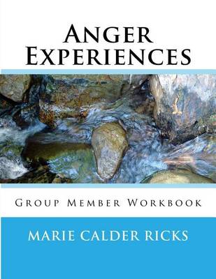 Cover of Anger Experiences