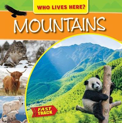 Book cover for Mountains