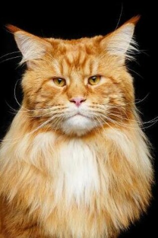 Cover of Maine Coon