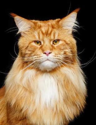 Book cover for Maine Coon