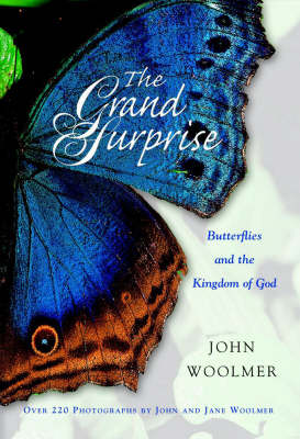 Book cover for The Grand Surprise