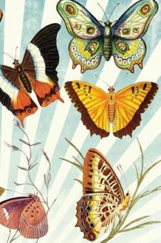 Cover of Colorful Butterflies Journal, College Ruled