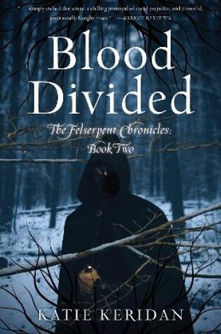 Cover of Blood Divided