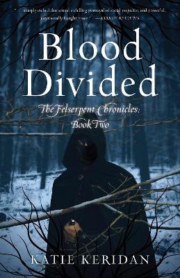 Book cover for Blood Divided