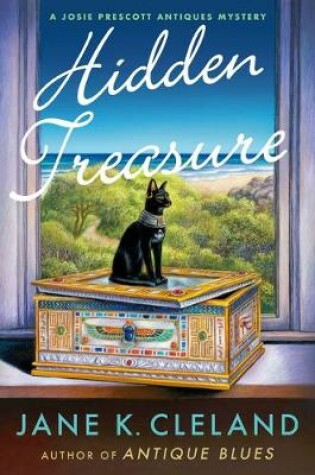 Cover of Hidden Treasure