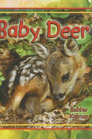 Cover of Baby Deer