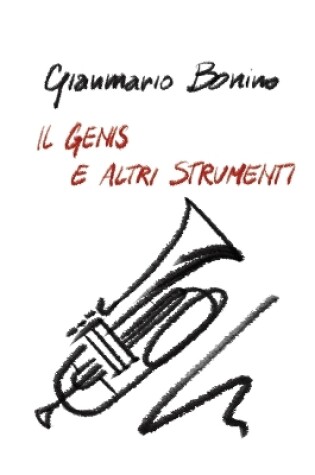 Cover of Il genis e altri strumenti