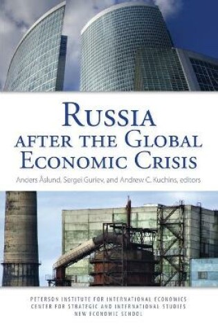 Cover of Russia After the Global Economic Crisis
