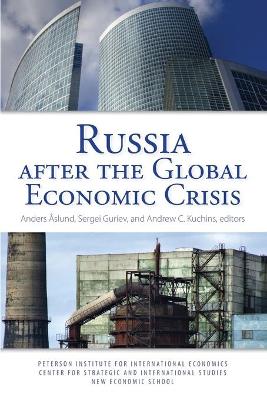 Book cover for Russia After the Global Economic Crisis