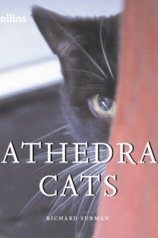 Cover of Cathedral Cats