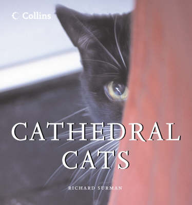 Book cover for Cathedral Cats