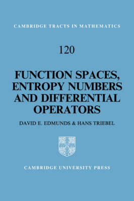 Book cover for Function Spaces, Entropy Numbers, Differential Operators