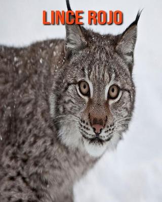 Book cover for Lince rojo