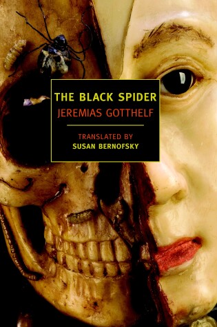Cover of The Black Spider