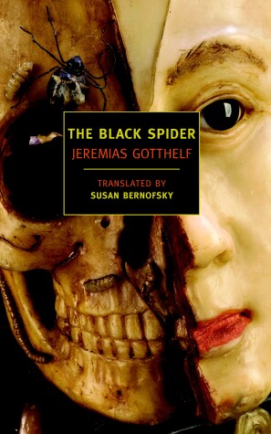 Book cover for The Black Spider