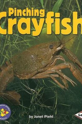 Cover of Pinching Crayfish