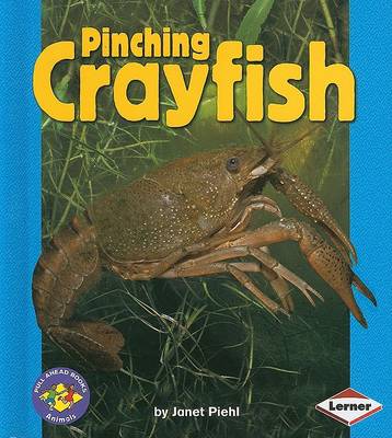 Book cover for Pinching Crayfish