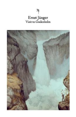 Book cover for Visit to Godenholm