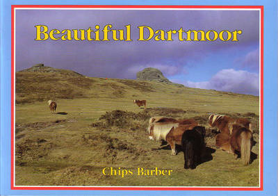 Book cover for Beautiful Dartmoor