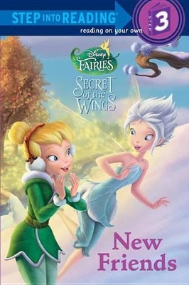 Book cover for New Friends (Disney Fairies)