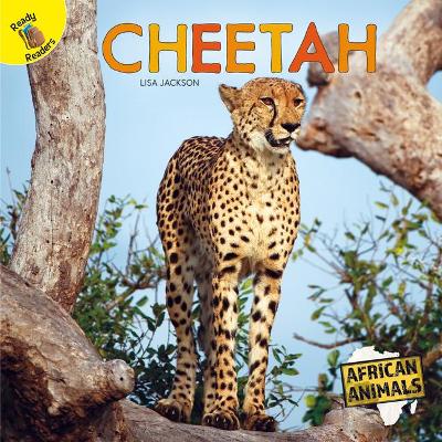 Book cover for Cheetah