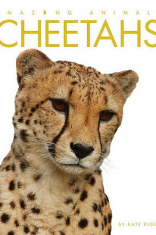 Cover of Amazing Animals: Cheetahs