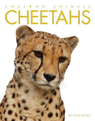 Book cover for Amazing Animals: Cheetahs