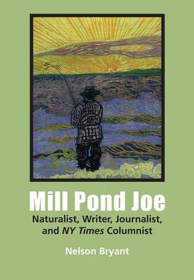 Book cover for Mill Pond Joe