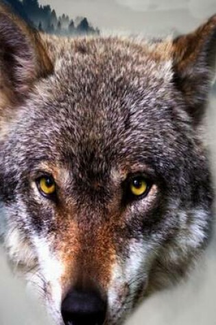 Cover of Website Password Organizer a Wolf Looking Straight at Me