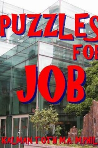 Cover of Puzzles for Job