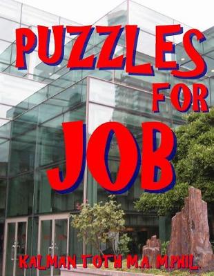 Book cover for Puzzles for Job