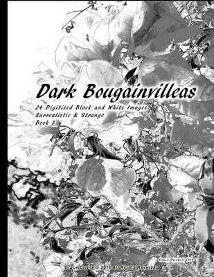 Book cover for Dark Bougainvilleas 24 Digitized Black and White Images Surrealistic & Strange Book 3