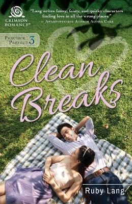 Book cover for Clean Breaks