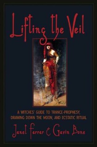 Cover of Lifting the Veil