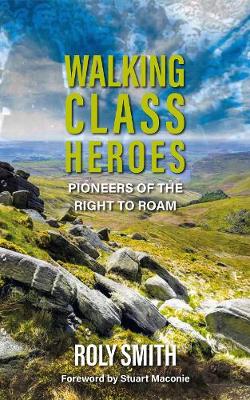 Book cover for Walking Class Heroes