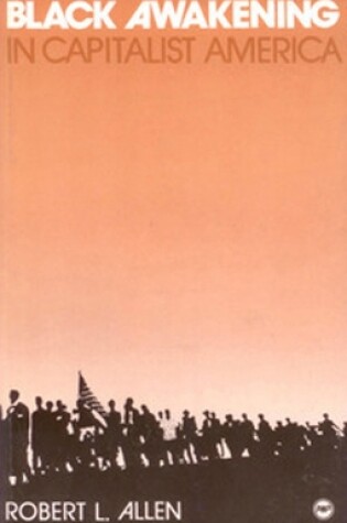 Cover of Black Awakening In Capitalist America: An Analytical History