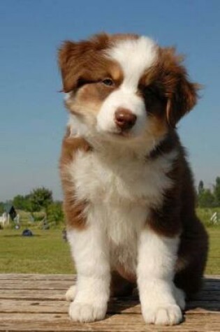 Cover of Adorable Australian Shepherd Puppy Journal