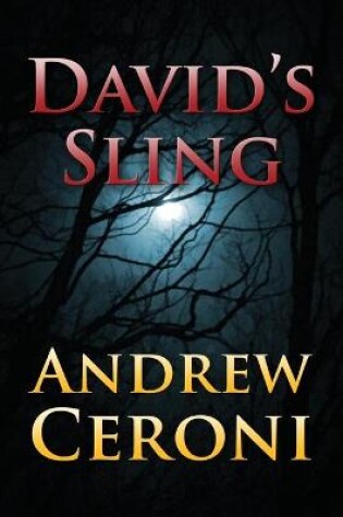 Cover of David's Sling