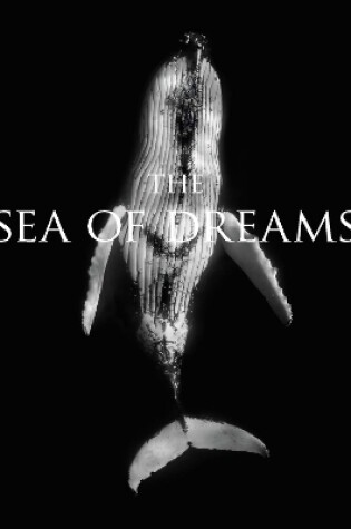 Cover of The Sea of Dreams