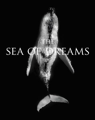 Book cover for The Sea of Dreams