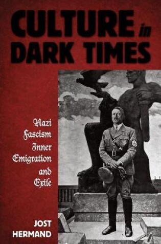 Cover of Culture in Dark Times