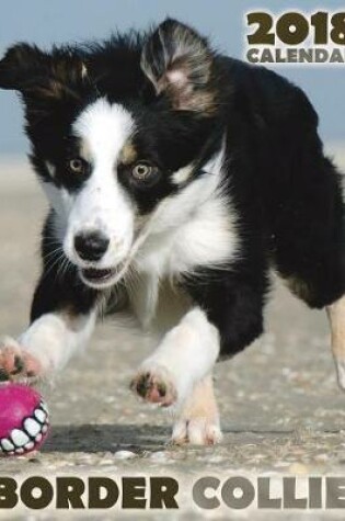 Cover of Border Collie 2018 Calendar