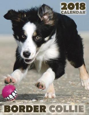 Cover of Border Collie 2018 Calendar