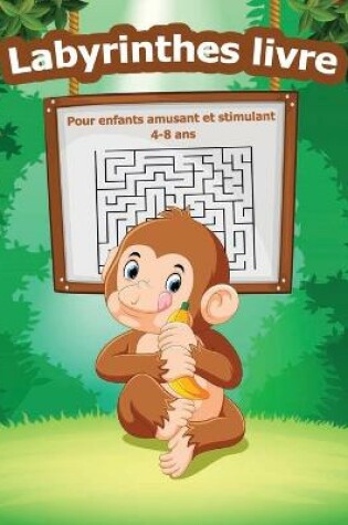 Cover of Labyrinthes Livre pour Enfants Amusant et Stimulant 4-8 ans
