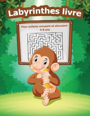 Book cover for Labyrinthes Livre pour Enfants Amusant et Stimulant 4-8 ans