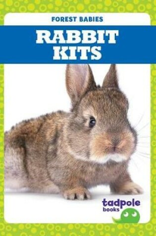 Cover of Rabbit Kits