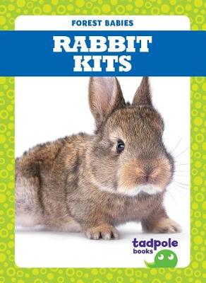 Book cover for Rabbit Kits