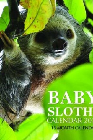 Cover of Baby Sloths Calendar 2019